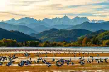 birdwatching hotspots near Bergamo
